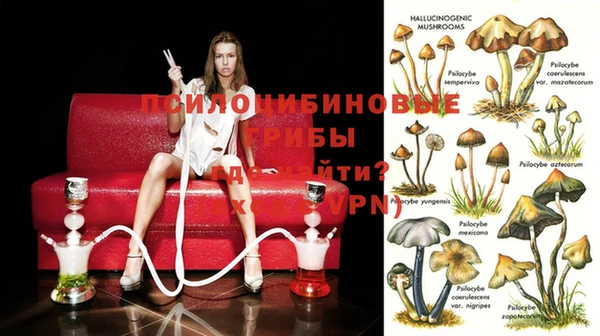меф Нягань