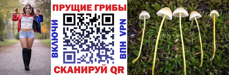 Галлюциногенные грибы Psilocybe  наркота  Азов 