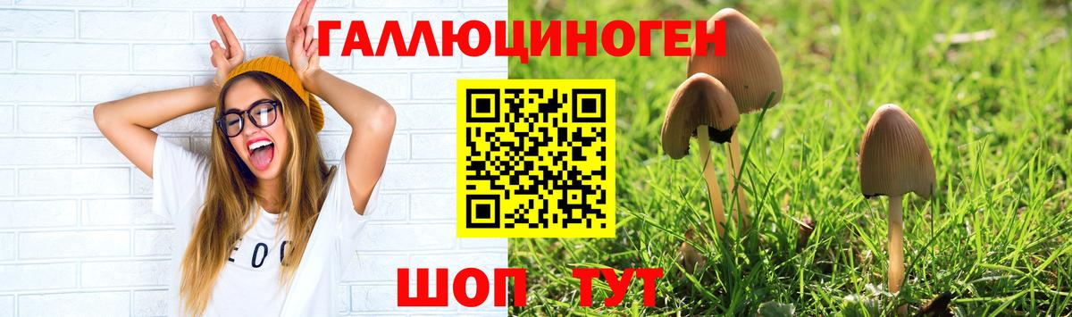 Псилоцибиновые грибы мицелий  Вход с VPN  Азов 